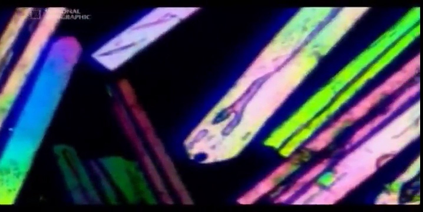 "Czysta nauka - Zderzenie kontynentów." LEKTOR PL Film dokumentalny