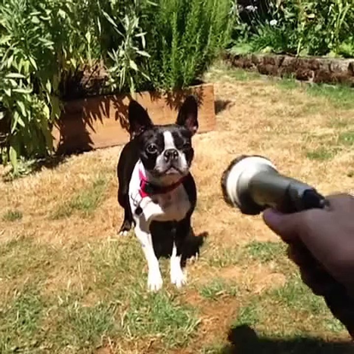 SALLA KAFAYI SALLA/Shakeup!