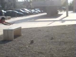 Teaser david----------->