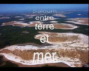 FILM SINE SALOUM
