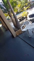 Dodgy Resort Owner Screams at Guests