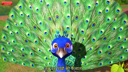 Nach Mor Sabhko Bhata | Mor Hindi Rhyme | Peacock Song