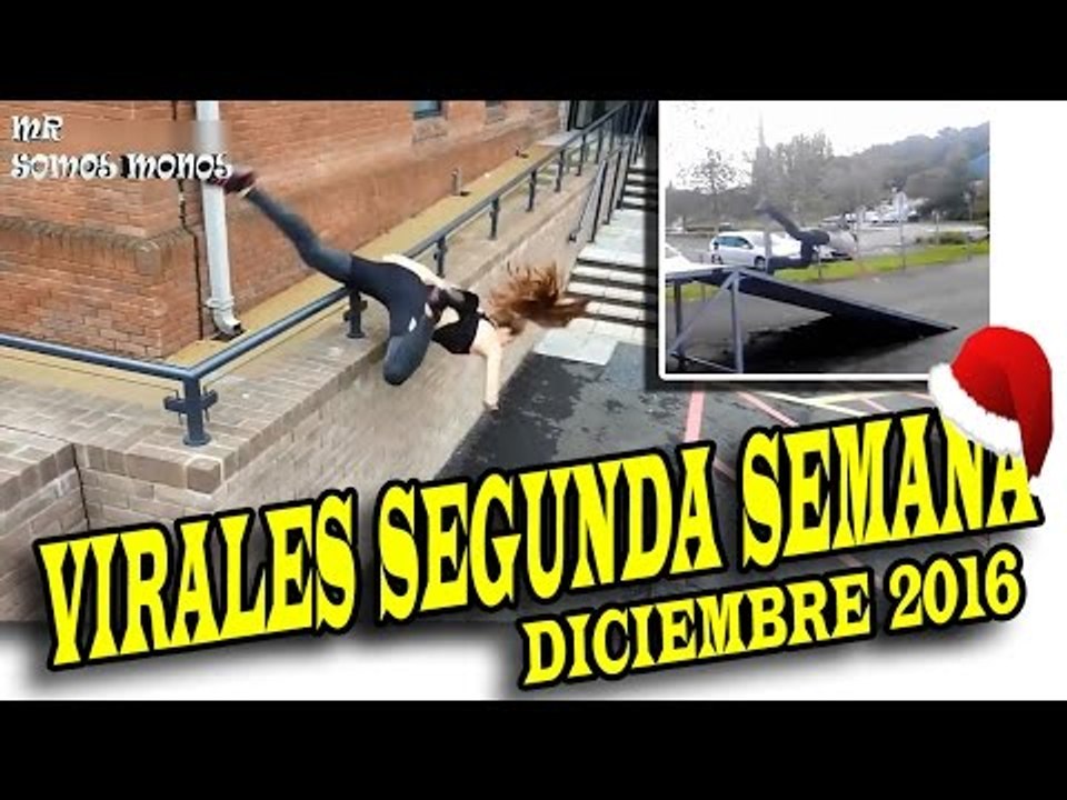 VIRALES Y FAILS MAS VISTOS DE LA SEGUNDA SEMANA DE DICIEMBRE 2016 nuevo