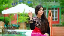 Pashto New Songs 2017 Neda Wafa - Za Yem Wafa