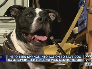 Teen springs into action to save dog from burning home