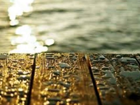 Acalma o meu coração ❤️