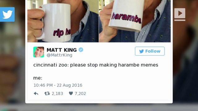 These 15 tweets sum up 2016 perfectly