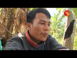 Burmese Human Shield Against Landmines