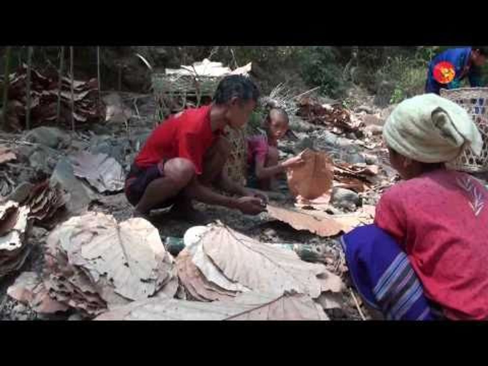 Displaced Karen Refugees in Jungle