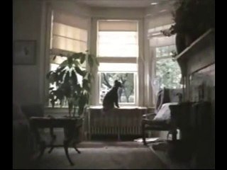 Courage The Cowardly Dog - Promo