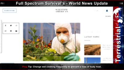 Calls To Crucify Christian - Grow Your Medicine - Unrest - Disease Incidence - FSS World News Updat