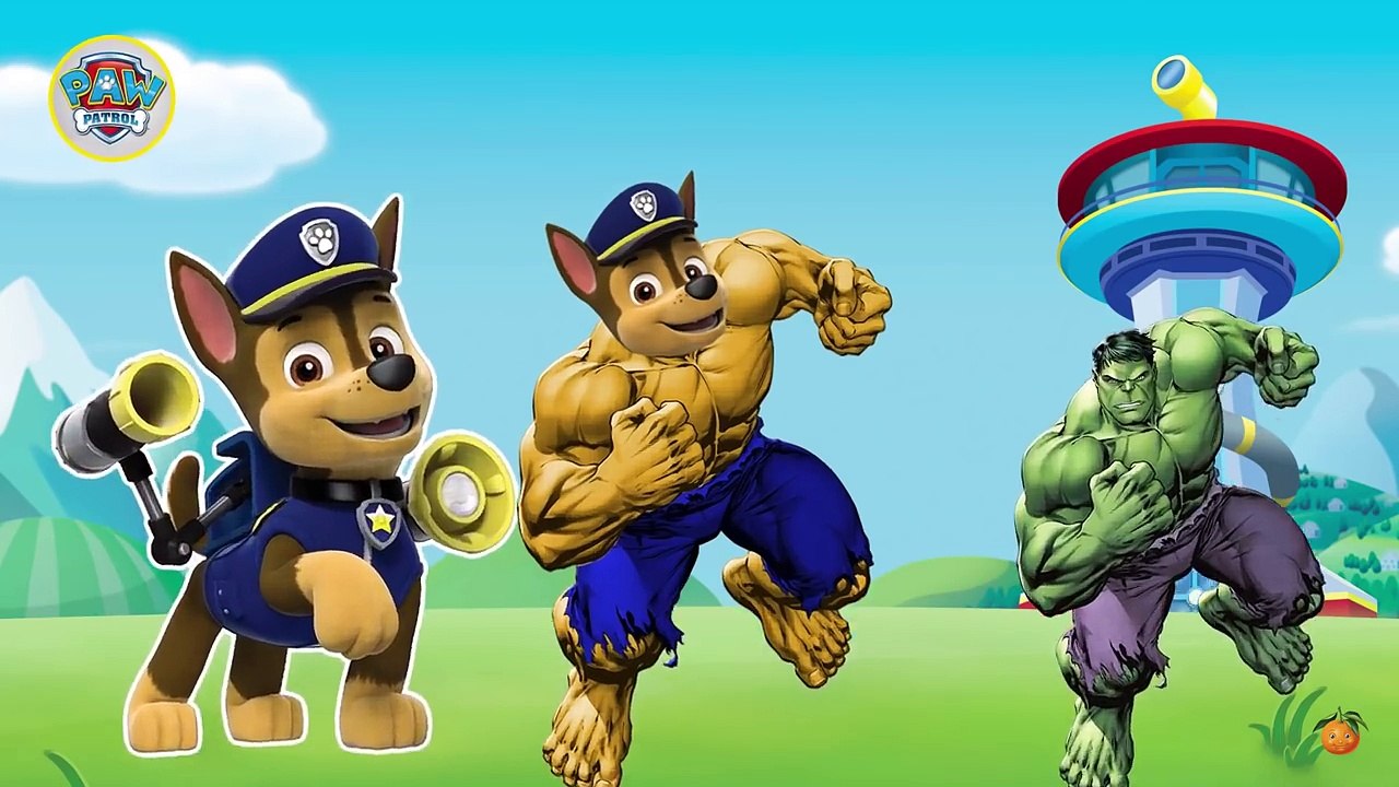 La Patrulla canina se disfraza Hulk La Familia Dedo - Paw Patrol Canciones Infantiles en Espanol