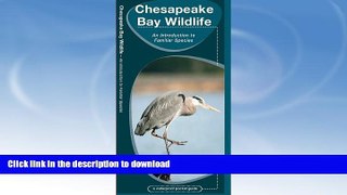 READ BOOK  Chesapeake Bay Wildlife (Pocket Naturalist Guide Series)  BOOK ONLINE