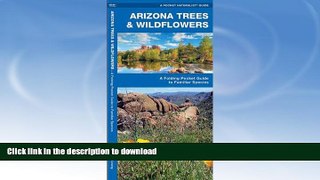 READ BOOK  Arizona Trees   Wildflowers: A Folding Pocket Guide to Familiar Species (Pocket