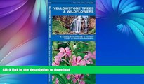 FAVORITE BOOK  Yellowstone Trees   Wildflowers: A Folding Pocket Guide to Familiar Species of the