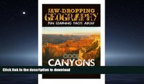 READ BOOK  Jaw-Dropping Geography: Fun Learning Facts About Cool Canyons: Illustrated Fun