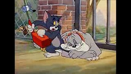 Tom si Jerry pe manele 2016 - video Dailymotion