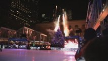 El parque Bryant de Nueva York se ilumina tras un espectáculo sobre hielo