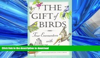 FAVORITE BOOK  The Gift of Birds: True Encounters with Avian Spirits (Travelers  Tales Guides)
