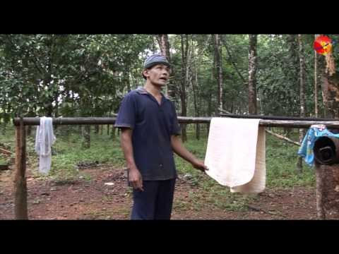 Burmese migrants in rubber plantation of Thailand Burmese Version