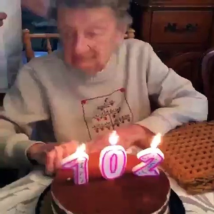 funny video on 2016