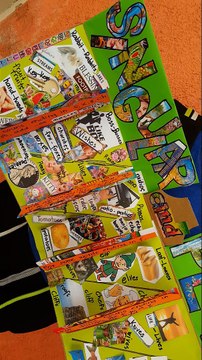 Lapbook project in English: Singular and Plural Nouns