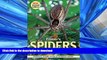 GET PDF  Filmer s Spiders: An Identification Guide for Southern Africa  GET PDF