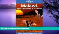 READ  Lonely Planet Malawi, Mozambique   Zambia (Malawi, Mozambique and Zambia) FULL ONLINE