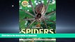 GET PDF  Filmer s Spiders: An Identification Guide for Southern Africa  BOOK ONLINE