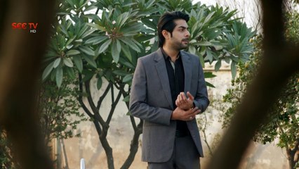 Apnay - Episode#44 - Promo - 3 Dec,2016 - SEE TV