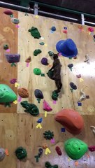 This cat ridiculous leaves professional climbers far behind