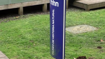 museo de historia natural