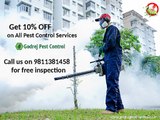 Get 10% OFF on all Pest Control and Termite Treatments in Noida, Ghaziabad, Gurgaon, Faridabad and Dwarka-Contact Godrej