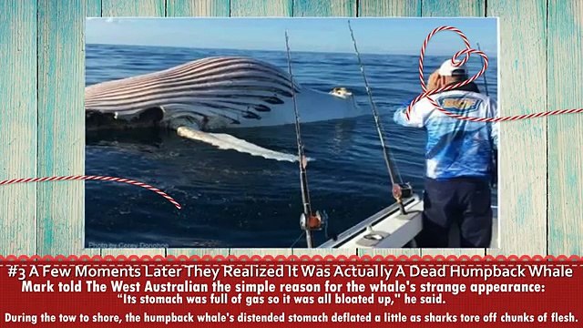 this seriously disturbing sphere just surfaced off the coast of australia