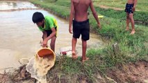 Amazing Children Fishing - How To Catch Fish By Hand In Cambodia - Catch A Lot Of Fish