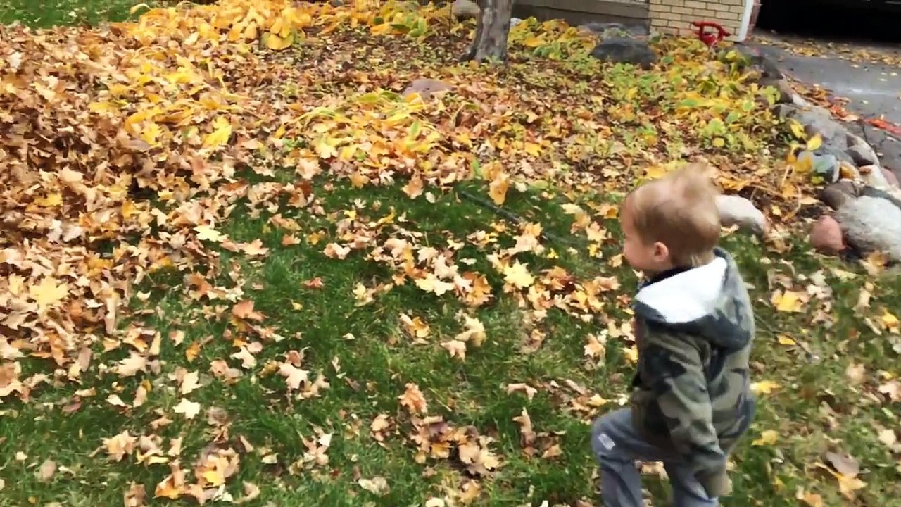 Il balance son fils dans un tas de feuilles et galère pour le retrouver