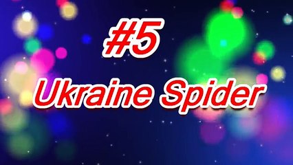 watch 5 Creepy true stories for a wonderful sleep tonight