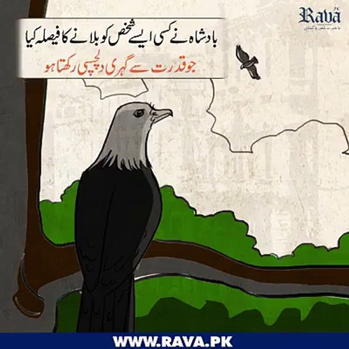 اگر آپ زندگی میں آگے بڑھنا اور کچھ نیا کرنا چاہتے ہیں تو یہ سبق آموز ویڈیو ضرور دیکھیں۔۔