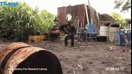 Funny videos 2016 - Stupid people doing stupid things