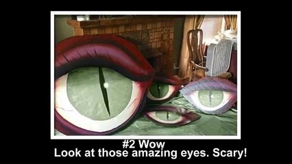 it looks like a normal house but when you look closer wow