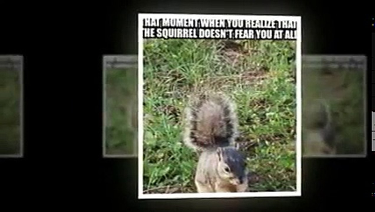 10 Pics That Will Make You Laugh
