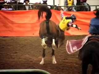 Untamed & Uncut - Bronco Riding Disaster