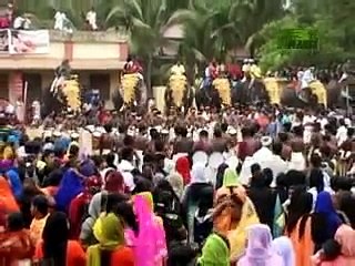 Untamed and Uncut - Elephant Rampage in India