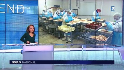 Grippe aviaire : sept élevages du Sud-Ouest touchés