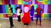 SuperHeroes Finger Family Songs Spiderman, Elsa Gorilla w/ Peppa Pig Finger Family Nursery Rhyme