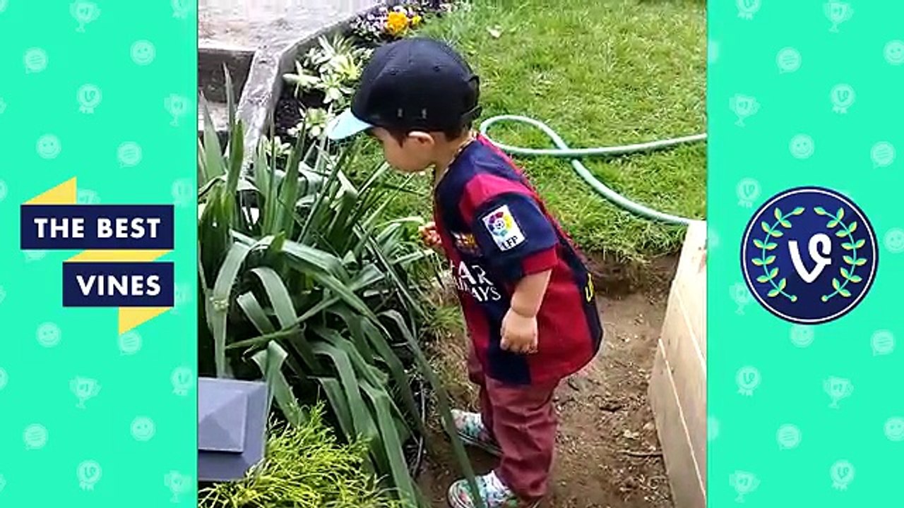 Try Not to Flinch or Get Scared Challenge Vines Compilation November 2016