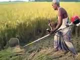 Wheat harvesting mini machine | Helpful  Machine for small scale farmers in India.