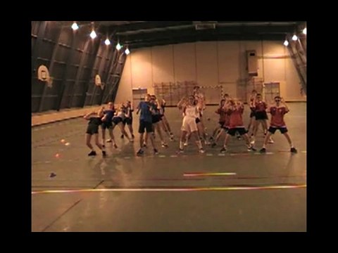 Concours FLASHMOB UNSS Championnat du monde de HANDBALL 2017 Collège Louis Armand Golbey