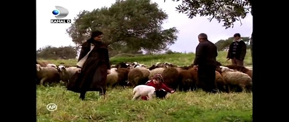 Asi ep. 66 „Ce-ai făcut? Ai vândut un miel?“