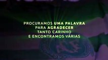 Chape agradece apoio e homenagens de todo o mundo